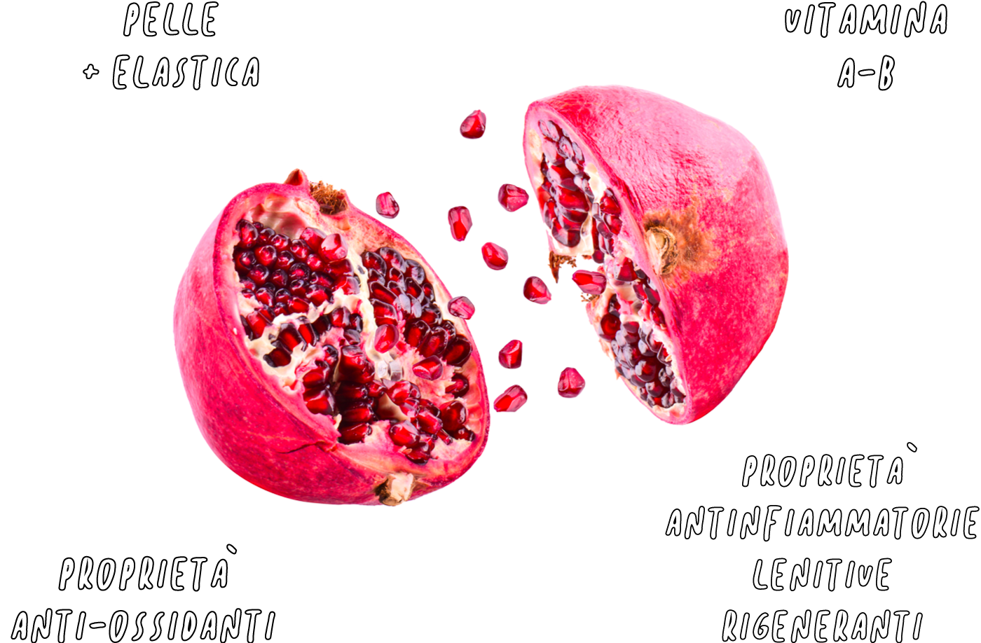 La forza del melograno