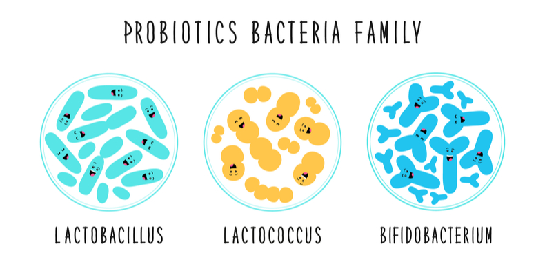 famiglia probiotici