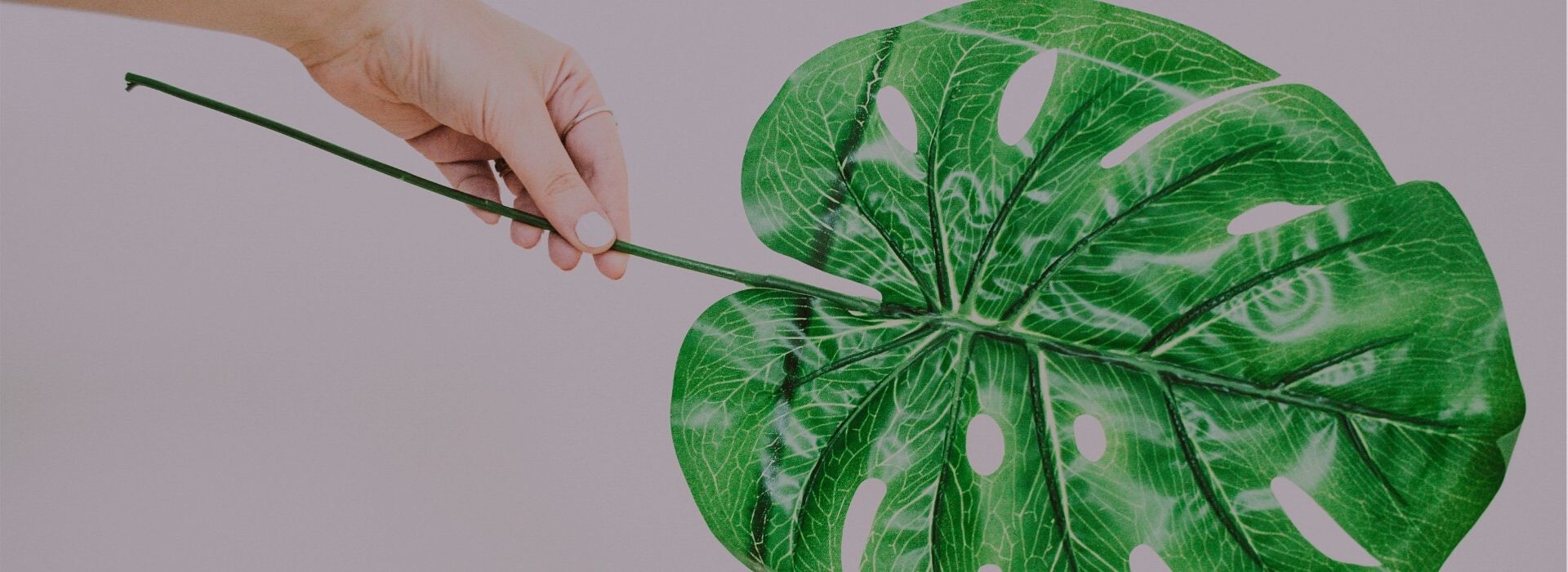 Plastic Free nella cosmetica: le vie del green sono infinite!