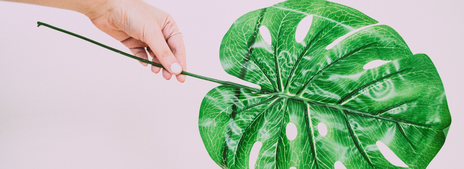 Plastic Free nella cosmetica: le vie del green sono infinite!