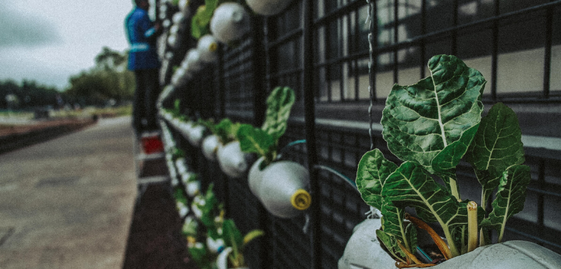 Giornata-Mondiale-degli-Oceani-2020-ricicla