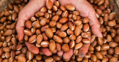 Le proprietà di bellezza dell’olio di argan: come usarlo su pelle e capelli