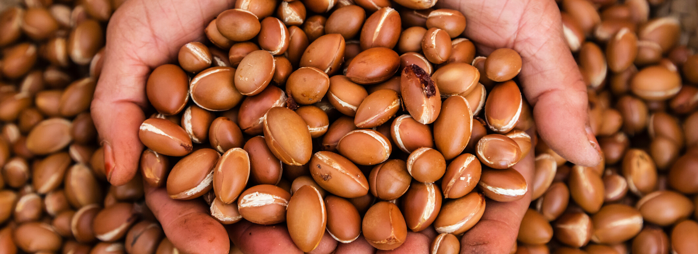 Le proprietà di bellezza dell’olio di argan: come usarlo su pelle e capelli
