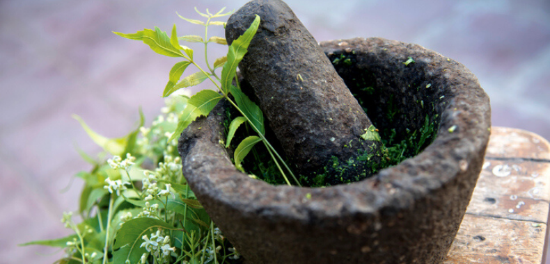 medicina-ayurvedica-ingredienti