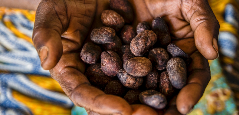 semi di burro di karite