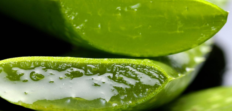 scottature-da-sole-rimedi-aloe
