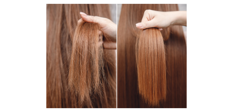 shampoo-solido-lavanda