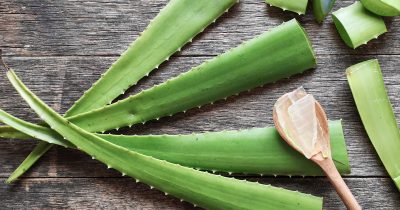 Gli infiniti usi dell’aloe vera: benefici e proprietà