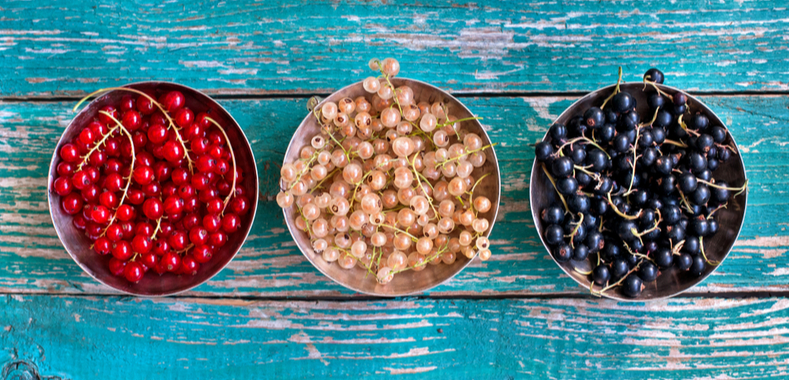 ribes nero, rosso, bianco