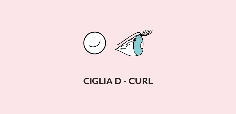 Ciglia D-curl